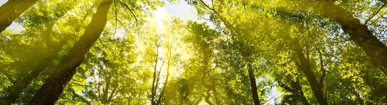 AdobeStock_102202605 (1)