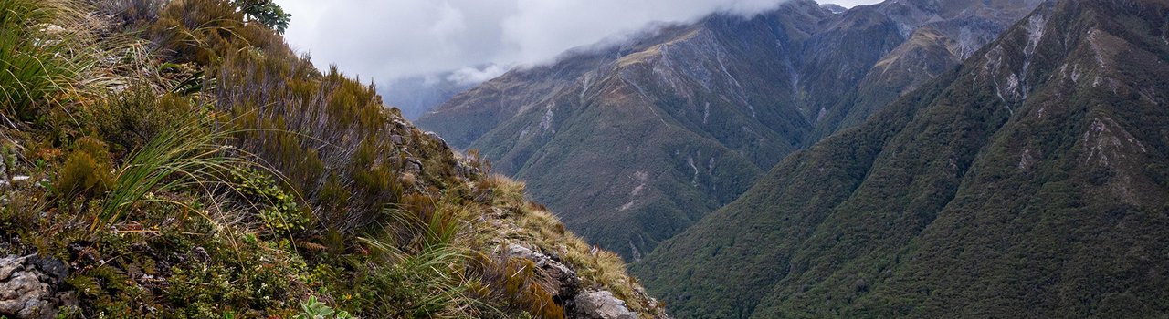 AdobeStock_487255677 (2)