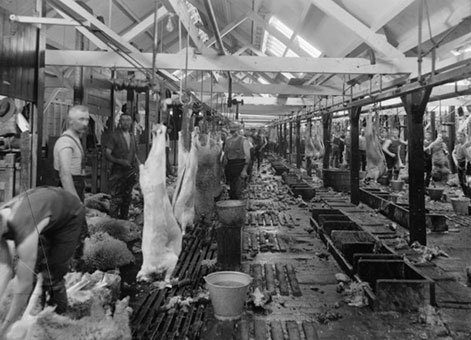 Belfast-Freezing-Works-1