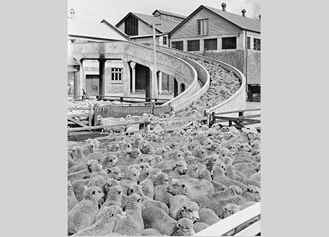 Belfast-Freezing-Works-2