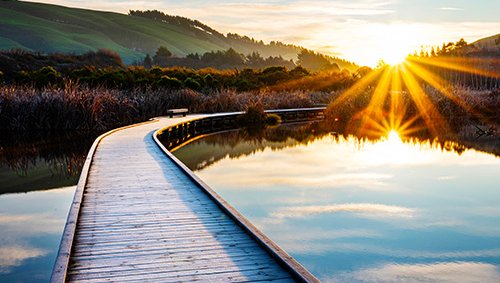 climate_tile_actions