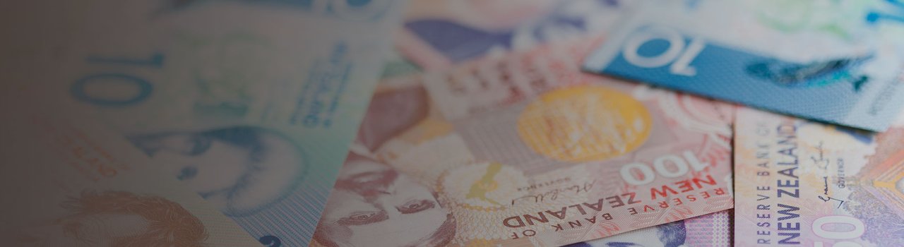 Discover2024_06_06-BudgetWeb