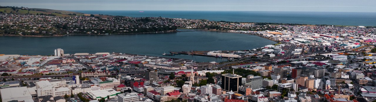 Dunedin_WebBanner