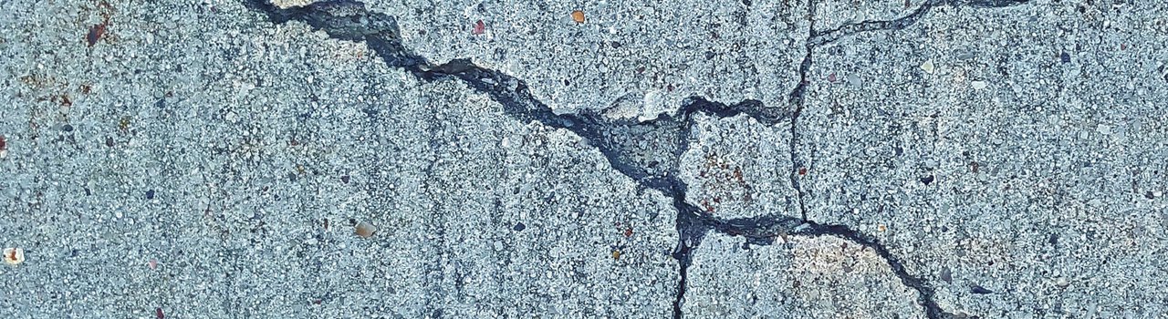 Society for Earthquake Engineering