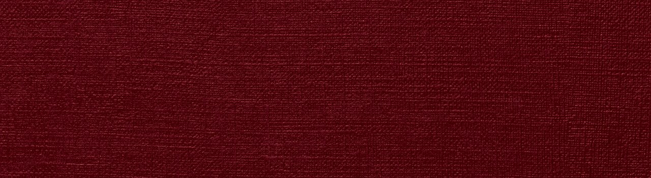 EG22_Survival_Banner