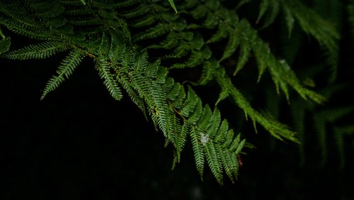 EG23_TeresaPoliBanner