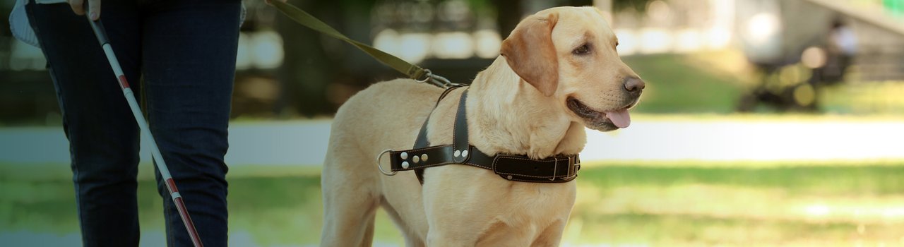 EG24_Exemplar_banner