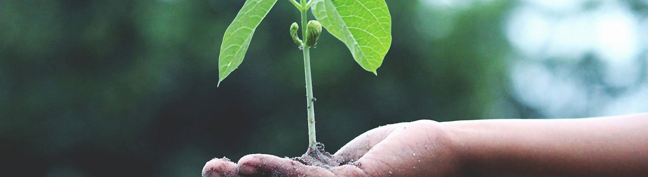 Giving-feedback_banner-1296x350