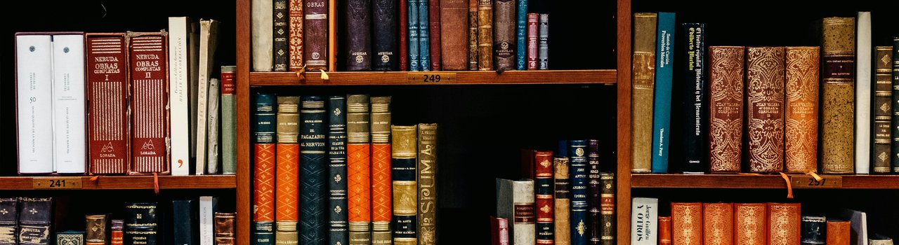 inaki-del-olmo-NIJuEQw0RKg-unsplash