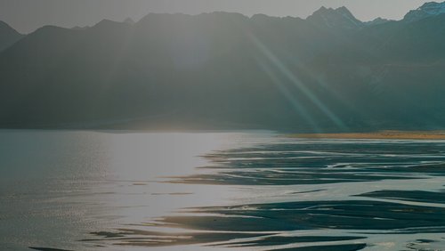 JanEvansFreemanPresident_WebBanner