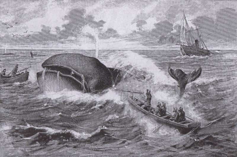 Jean_Bungartz_-_Walfang_nach_neuster_Fangmethode_(1885)
