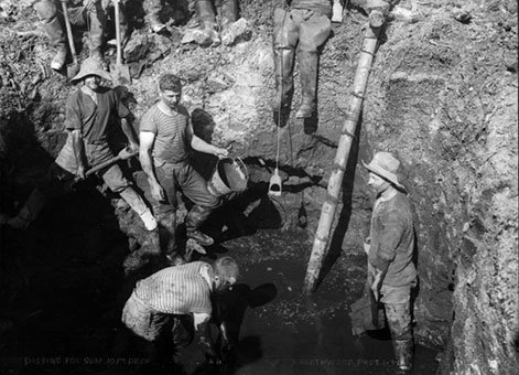 Kauri Gum Mining
