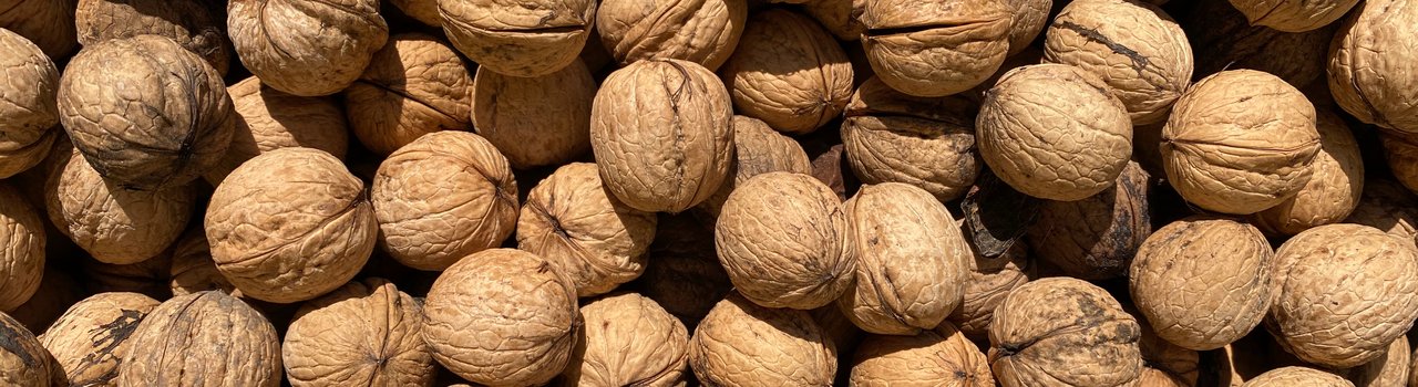 walnuts