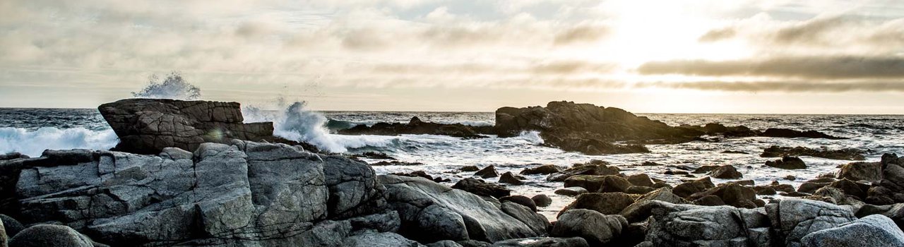 New Zealand Coastal Society