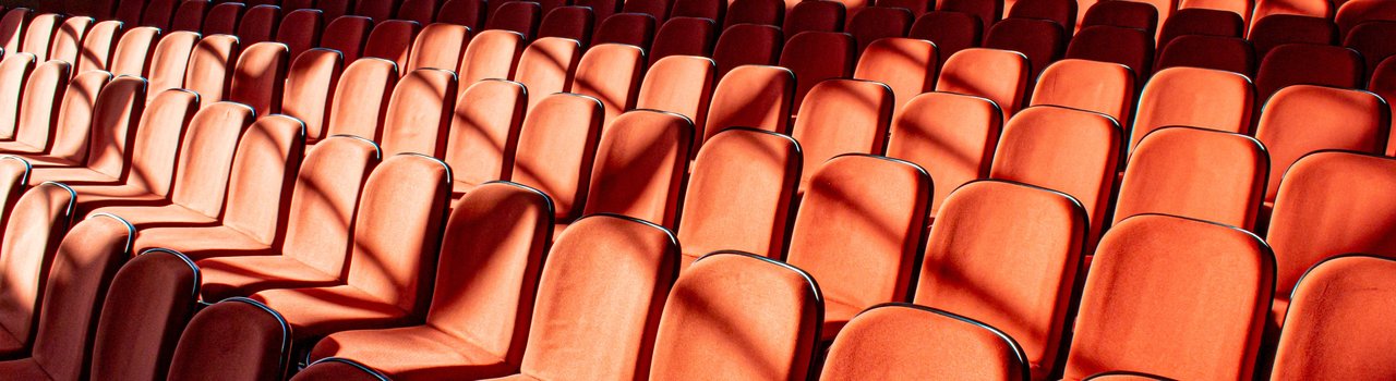 pexels-jonas-kakaroto-2914419