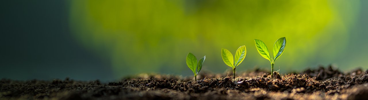 ProfessionalDevelopment_BANNER