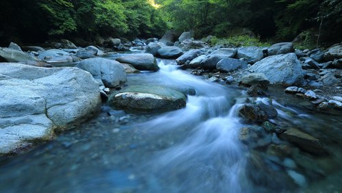 River Leg