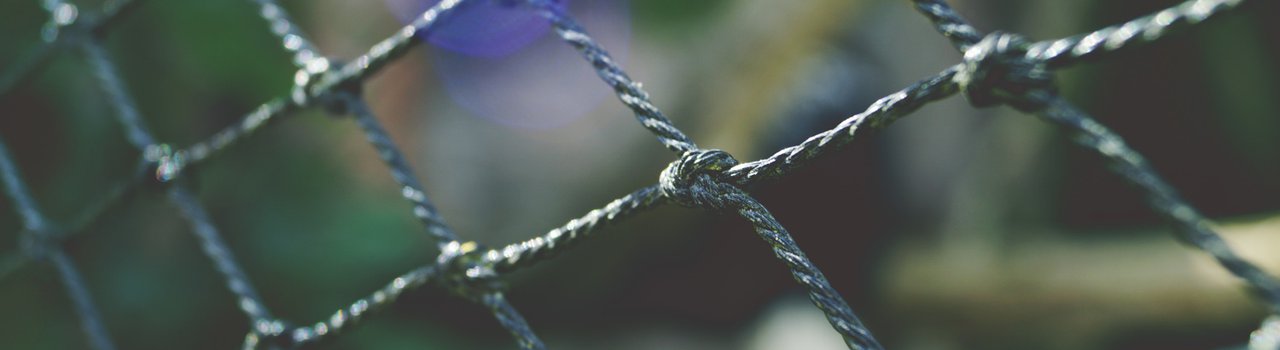 Society for Safety Engineering