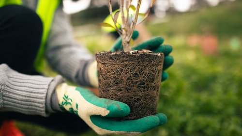 SustainabilitySociety_Tile