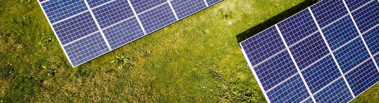 The Sustainability Society