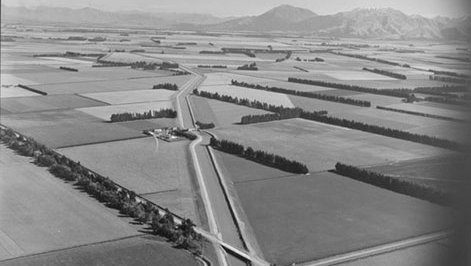 Thomas George Gordon Beck