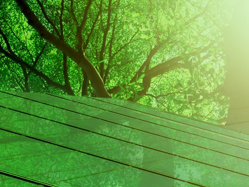 Thrive2025_WebBanner