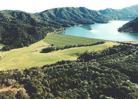 Upper Mangatawhiri Dam