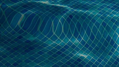 EG33_Secret life_WebBanner