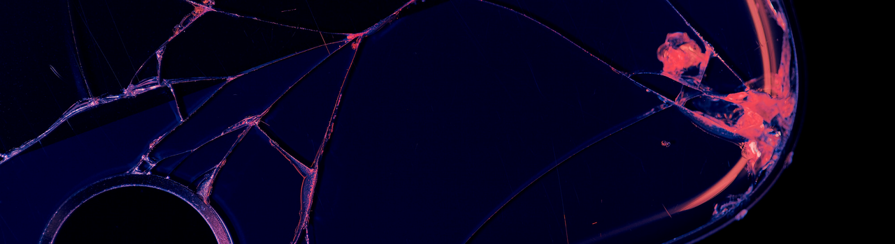 Generic photo 2021.png